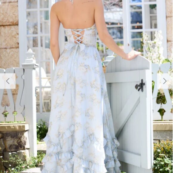 V. Chapman Scarlette gown, size 4, blue with white roses - Picture 4 of 4